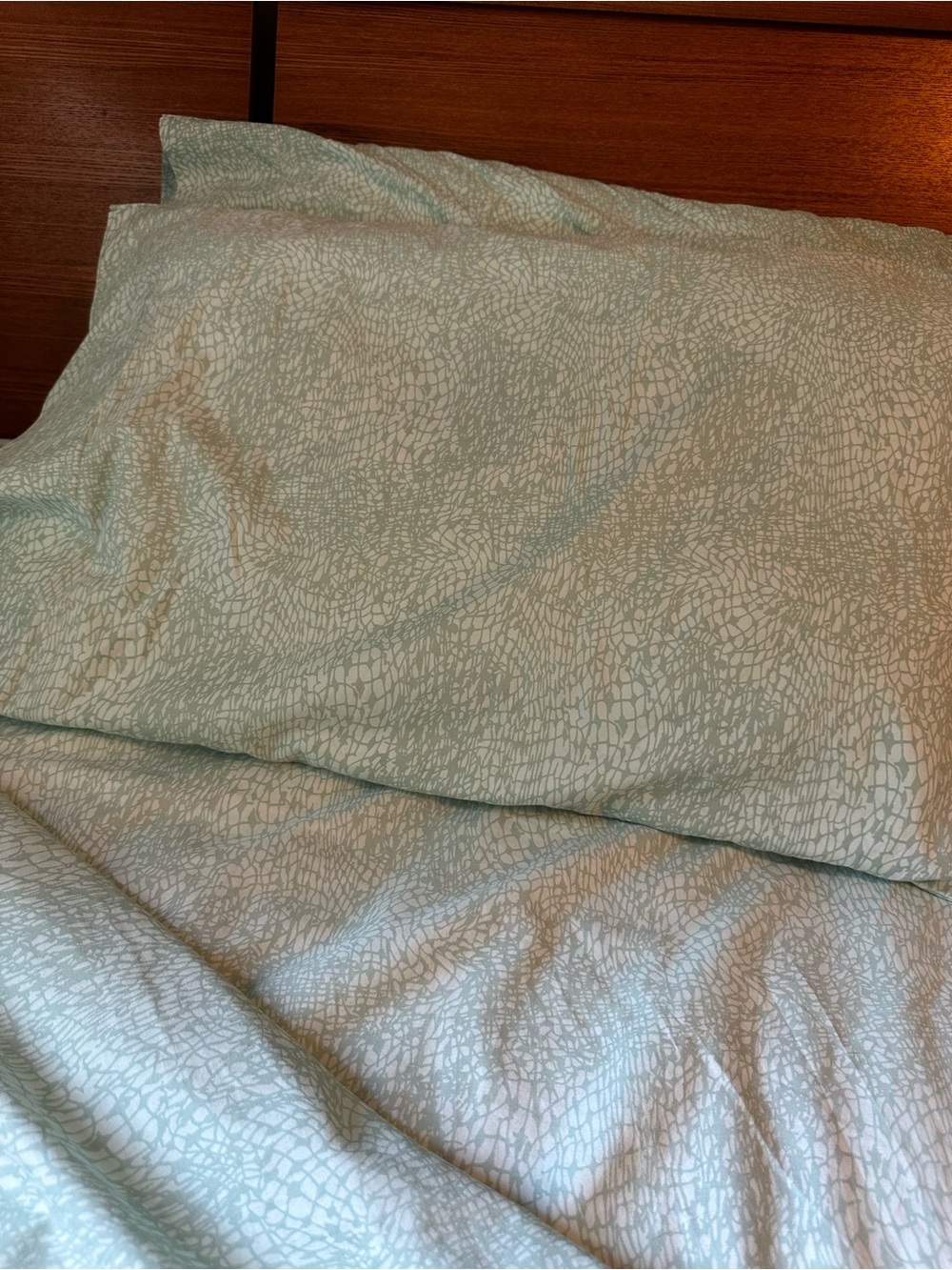 5 Items Steve Madden Sage Green Textured Full / Queen size Sheet Set Pillow